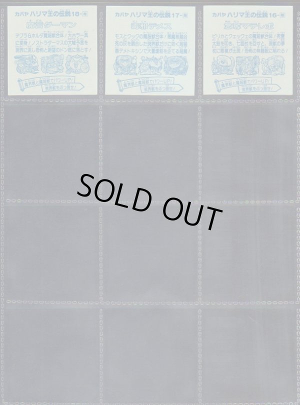 画像8: ハリマ王の伝説・4弾36/37種フルコンプ+α