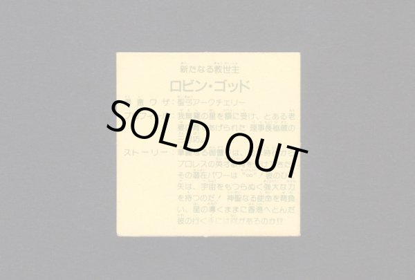 画像2: ロビン・ゴッド（右手剣・左手盾）