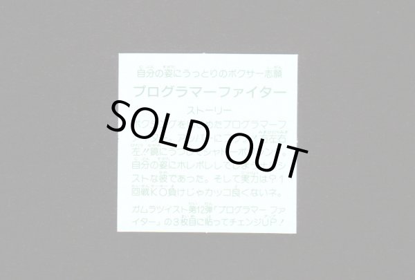 画像2: プログラマーファイター