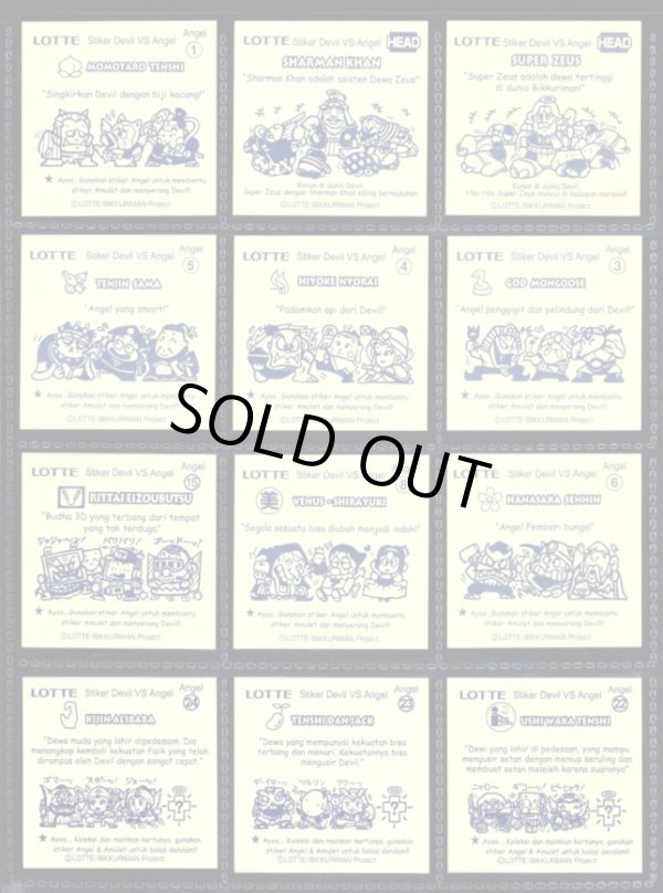 画像3: インドネシア版・48種セット