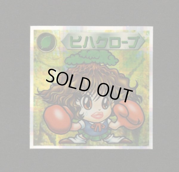 画像1: ビハクローブ