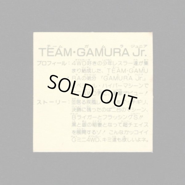 画像2: TEAM GAMURA Jr.（チームガムラ）