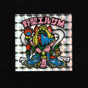 画像: 野聖エルサM