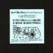 画像2: ヘッドロココ（No.41）