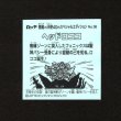 画像2: ヘッドロココ（No.36）