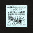 画像2: ヘッドロココ（No.39）