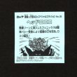 画像2: ヘッドロココ（No.35）