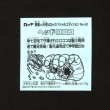 画像2: ヘッドロココ（No.42）