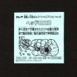 画像2: ヘッドロココ（No.43）