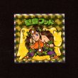 画像1: 聖豊フッド（NO.43）