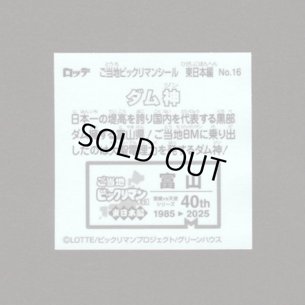 画像2: ダム神（NO.16）