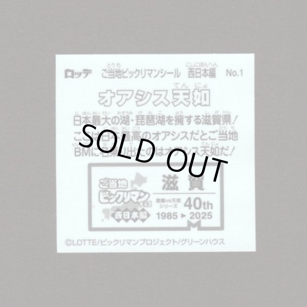 画像2: オアシス天如（NO.1）