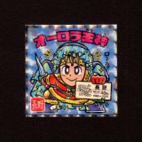 画像: オーロラ王神（NO.20）