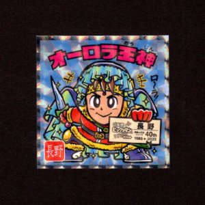 画像: オーロラ王神（NO.20）