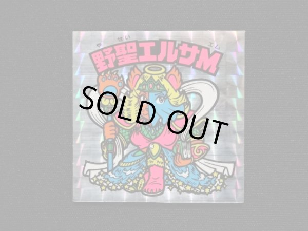 画像3: 野聖エルサM