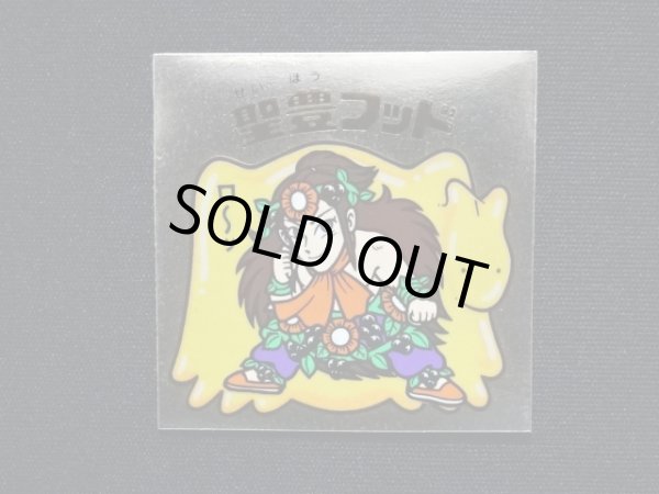 画像3: 聖豊フッド（A）