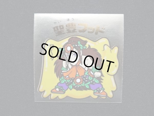 画像3: 聖豊フッド（B）