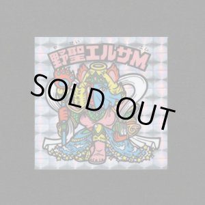 画像: 野聖エルサM