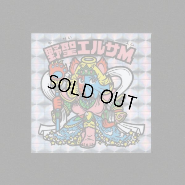 画像1: 野聖エルサM