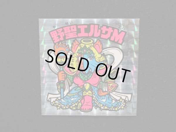 画像4: 野聖エルサM