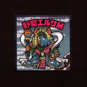 画像: 野聖エルサM（No.15）