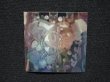 画像5: 聖神ナディア