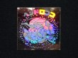 画像3: ヘッドロココ（ホロ）