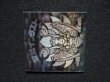 画像7: 聖梵インダスト（A）