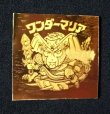 画像4: ワンダーマリア（サイズ大）