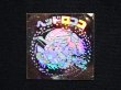 画像3: ヘッドロココ（ホロ）B