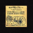 画像2: ヘッドロココ（ホロ）B