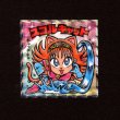 画像1: スコルキャット（NO.25）