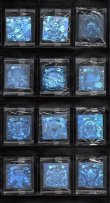 画像1: ホロセレクションパート1・全12種フルコンプ（未開封）A