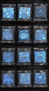 画像: ホロセレクションパート1・全12種フルコンプ（未開封）A