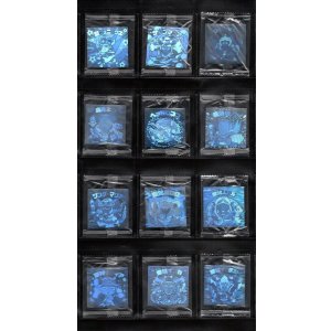 画像: ホロセレクションパート1・全12種フルコンプ(未開封)A