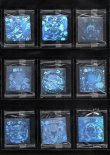画像2: ホロセレクションパート1・全12種フルコンプ（未開封）B