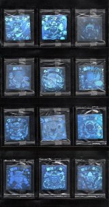 画像: ホロセレクションパート1・全12種フルコンプ（未開封）B