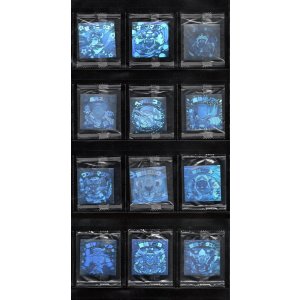 画像: ホロセレクションパート1・全12種フルコンプ(未開封)B