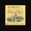 画像2: シャーマンカーン（裏濃黄色）
