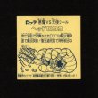 画像2: ヘッドロココ（ホロ）