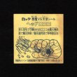画像2: ヘッドロココ（ホロ）