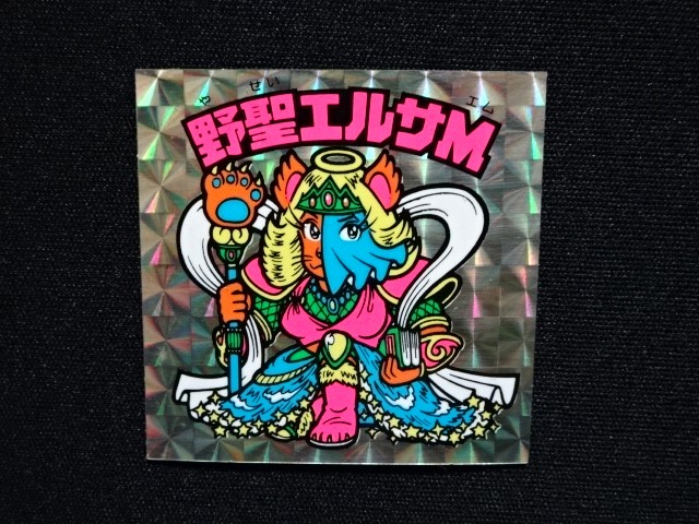 画像4: 野聖エルサM