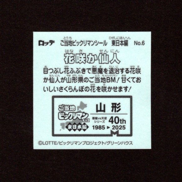 画像2: 花咲か仙人（NO.6）