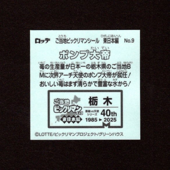 画像2: ポンプ大帝（NO.9）