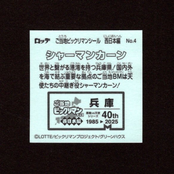 画像2: シャーマンカーン（NO.4）