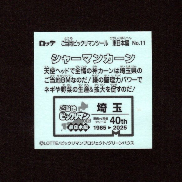 画像2: シャーマンカーン（NO.11）