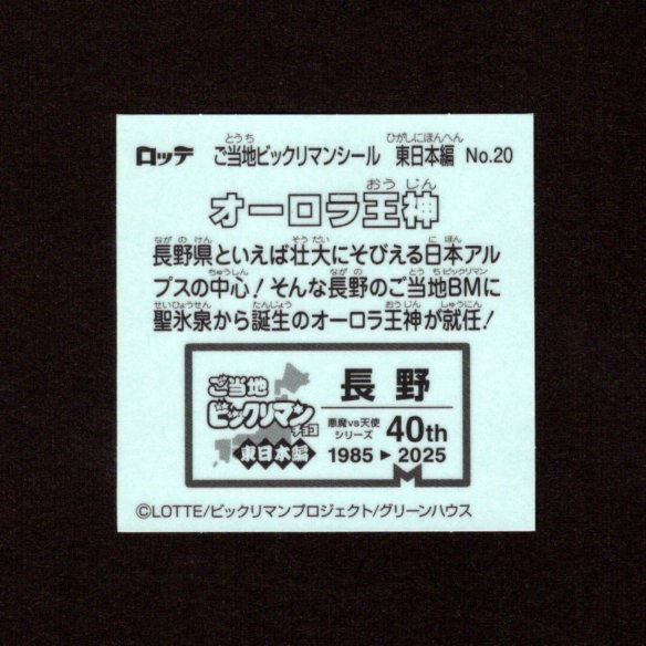 画像2: オーロラ王神（NO.20）