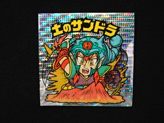 画像3: 土のサンドラ