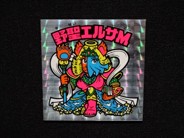 画像4: 野聖エルサM