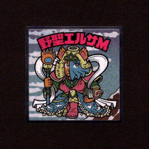 画像1: 野聖エルサM（No.15）